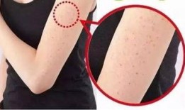 吃鸡皮肤转盘爆料最新,海量新皮肤等你来战！