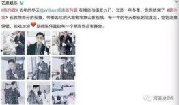 皮哥爆料视频大全最新,揭秘娱乐圈幕后真相大揭秘