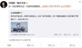 最新爆料偷拍网站大全,最新爆料偷拍网站大全曝光