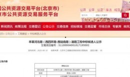 路透社爆料解封最新消息,最新解封消息曝光，揭秘疫情后全球复苏动态