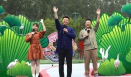 成都公园爆料视频最新2020,探寻成都绿意盎然的休闲生活画卷