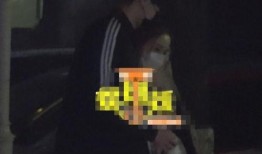 狗仔爆料旁白视频大全最新,揭秘娱乐圈最新动态，视频大全独家放送