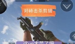 对峙2最新爆料刀,刀锋对决，神秘爆料揭示全新战术与角色