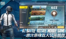 吃鸡免费新皮肤爆料最新,免费新皮肤来袭！吃鸡游戏最新爆料揭秘